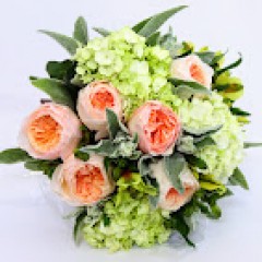 Seller Image